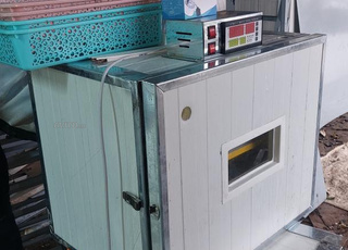 فقاسة 240 بيضة اتوماتيك بالكامل 