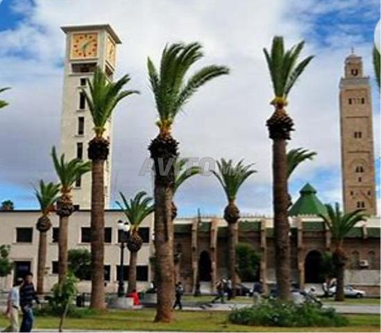 شقة للإيجار 110 متر مربع في وجدة