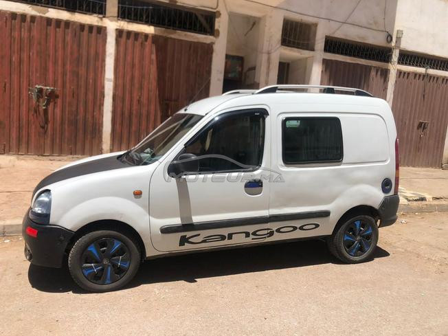 kongo a vendre 
