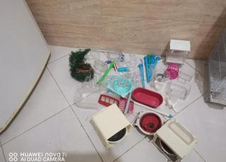 لوازم الطيور 