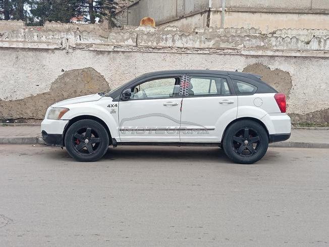 dodge caliber 