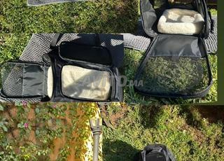 sac à main pour chien