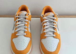 Nike Dunk Low Safari ( neuve et originale )