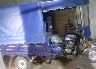 triporteur model 2024