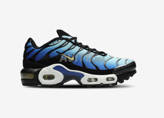 Nike Air Max tn 1 bleu