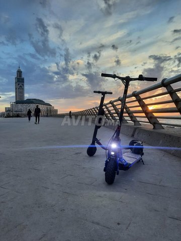 TROTINETTE ÉLECTRIQUE BISON 800W 