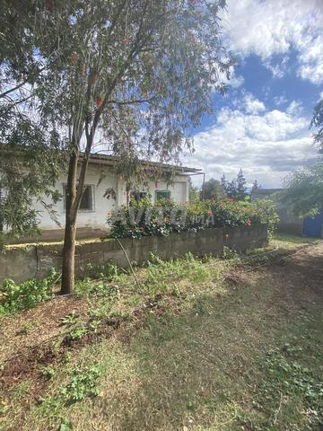 فيرمة للبيع مع منزل تيتر مدينة اثنين شتوكة اقليم 