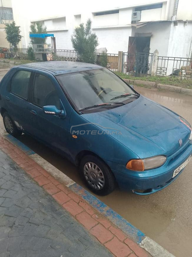 باليو مازوط 
