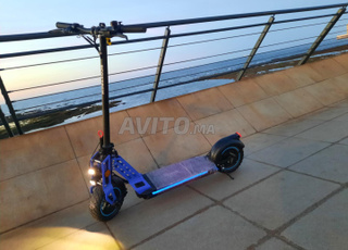 trottinette électrique bison 800w 