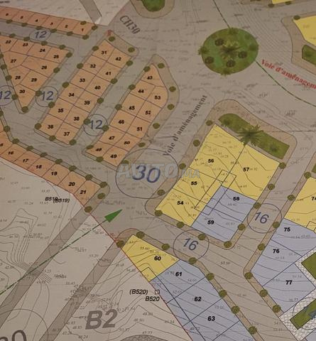 Terrain Rdc 4 étage Rue 30 métre lotisement 