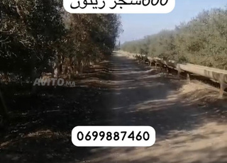 فيرما للبيع محفظة✅بوعرك 