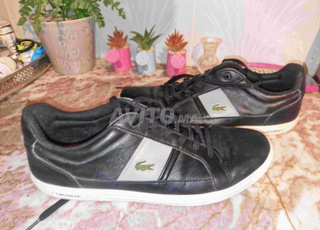 lacoste 44,5 original 