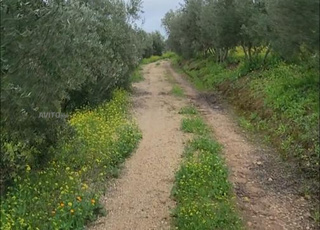 فيرمة فلاحية 9 هكتارات ما بين مكناس والخميسات