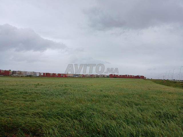 أرض فلاحية للبيع نواحي الجديدة موقع ممتاز وهادئ