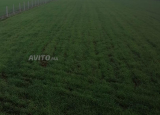 ايت يعزم باب الحيمر