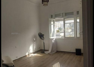 villa art deco palmier