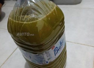 زيت زيتون بلدية بجودة عالية 