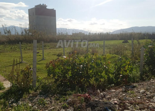 قطعة ارضية مميزة للبيع بالواد المالح 