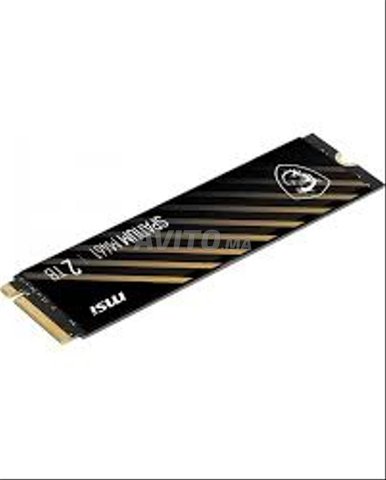 2 TB SPATIUM M461 PCIe-4.0-NVMe-M.2