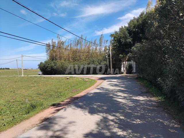 Terrain à vendre milkia zone verte  - 2