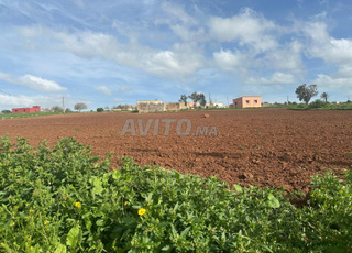أرض للبيع بجماعة الحوزية قرب الجديدة ب 8كلم