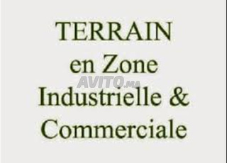 Lot de terrain 550m2 i2s1 à Ain sebaa