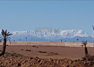  Terrain agricole à vendre à Tamesloht, Marrakech 