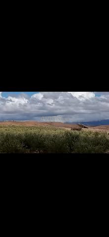 Ferme 9 hectares titré 
