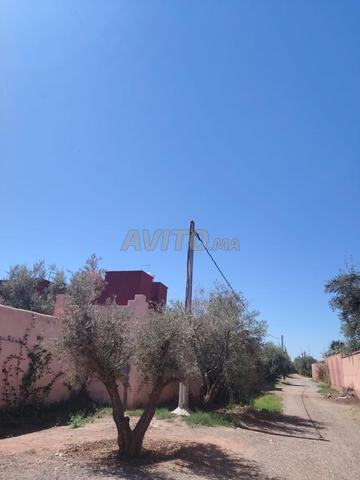 أرض للبيع مساحتها 2300 متر .بعيدة عن مراكش ب 10km.