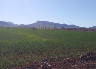 ارض فلاحية ملكية