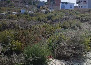 قطعة 100 متر تجزئة الصحراوي 