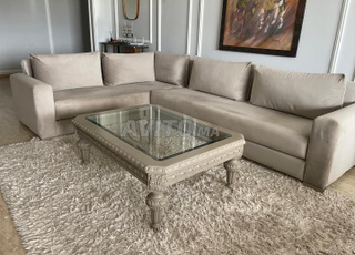 À vendre canapé en L avec table basse et tapis