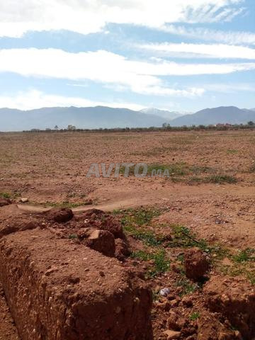 أرض للبيع محفظة Terrain Titré à vendre