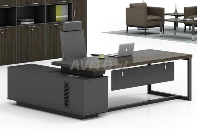 BUREAU PROFESSIONELLE  DIRECTEUR 