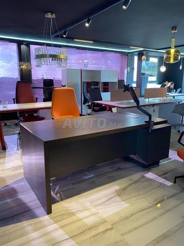 BUREAU PROFESSIONELLE  DIRECTEUR  - 2