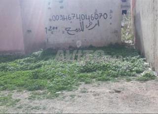 Terrain à vendre 200 metres pres corniche nador