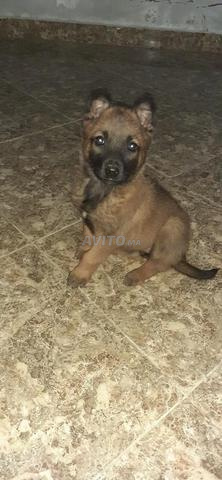 vcgwtfggjxjfgdhfgjfhjggdjghvccwh