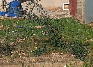 terrain de 80m2 bouhayrat sais tranché A