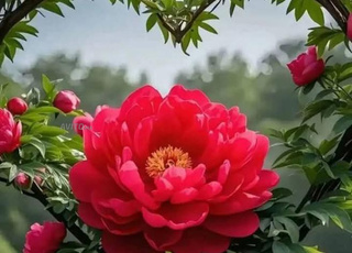 اقليم تيزنيت 