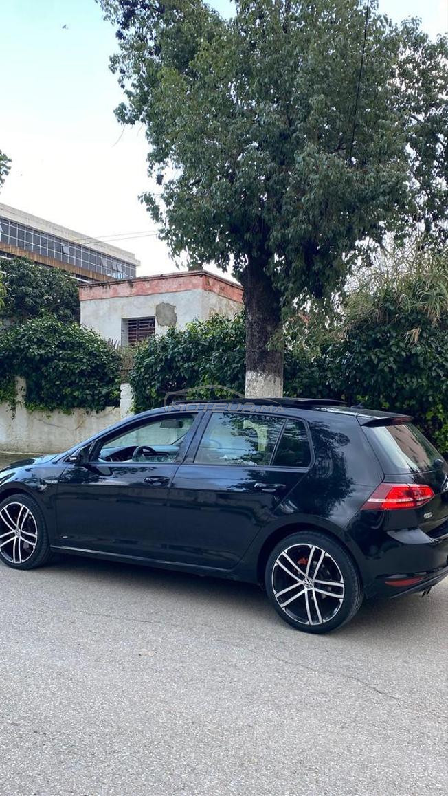 golf 7 pack gtd 