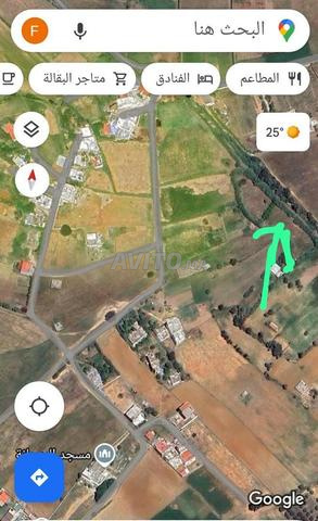 ard 1500 mètre carré a vendre