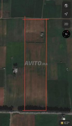 ارض للبيع هوتة قرب سيدي رحال للبيع