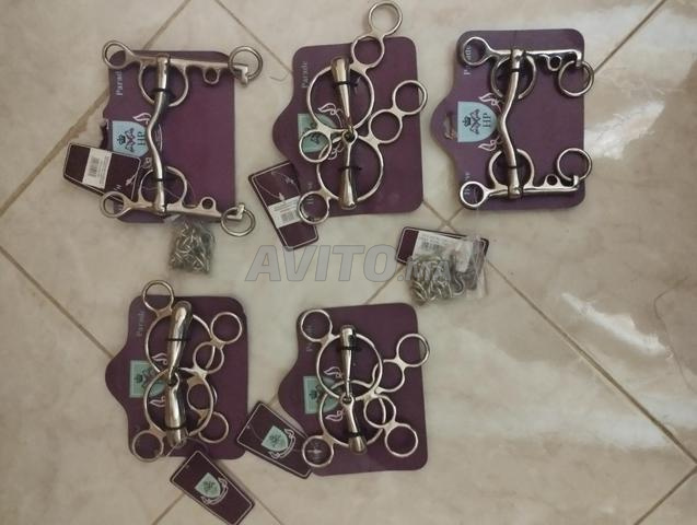 lot de mors neufs et utilisés