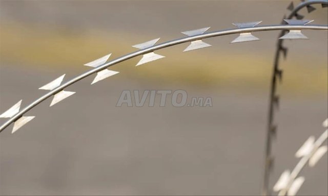 Concertina type BTO22 diamère 800mm
