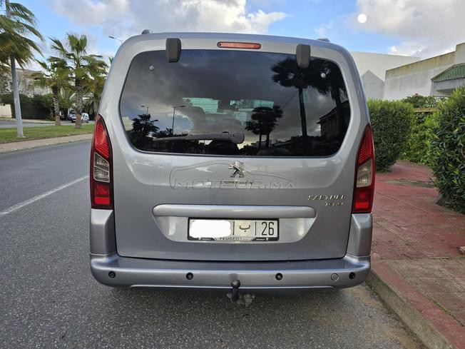 Peugeot tepee 