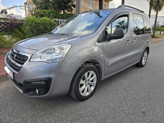 Peugeot tepee 
