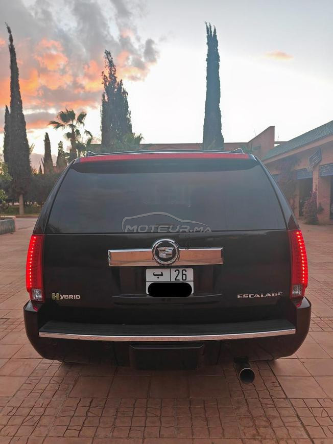 2010 Cadillac Escalade Hybride Platinum Sport