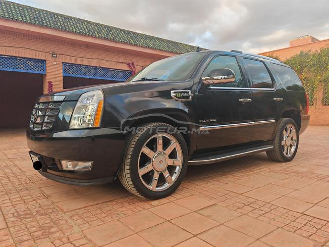 2010 Cadillac Escalade Hybride Platinum Sport