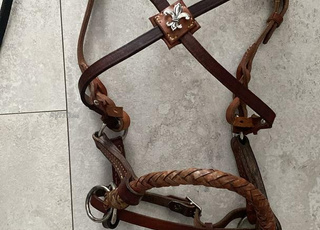 matériel équitation bridon sans mors