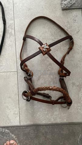 matériel équitation bridon sans mors